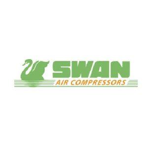 Swan