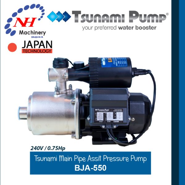 TSUNAMI MAIN PIPE PRESSURE ASIST PUMP BJA SERIES - Image 3