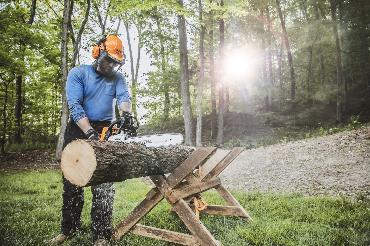 STIHL PETROL CHAINSAW MS 250 - Image 3